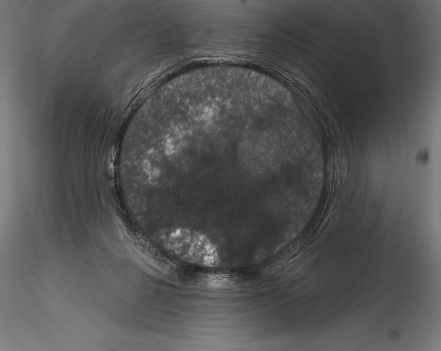 X0000114580264200911301342