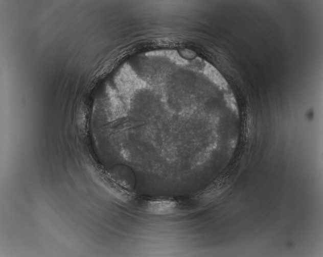 X0000114580266200911301342