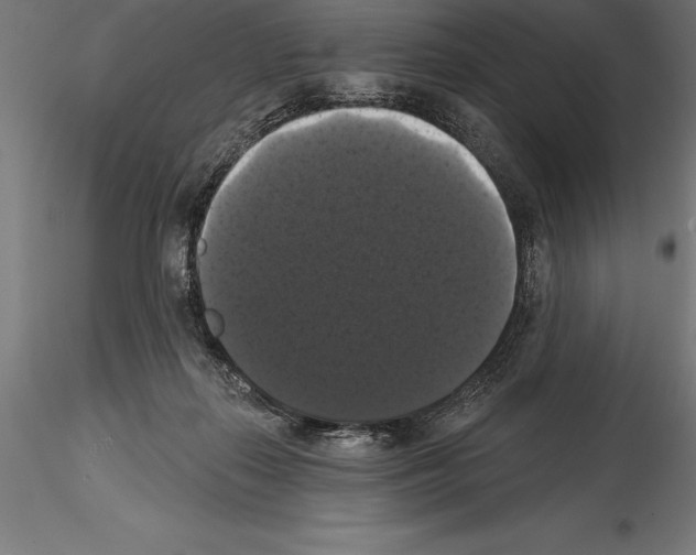 X0000114580267200911301342