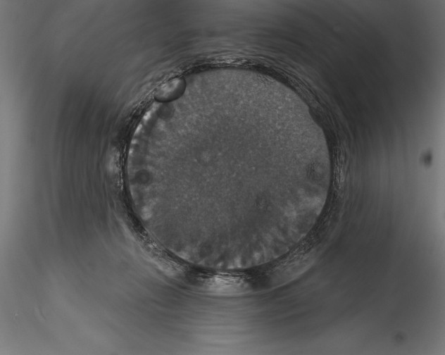 X0000114580270200911301342