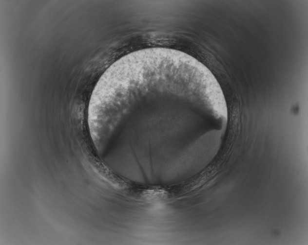 X0000114580271200911301342