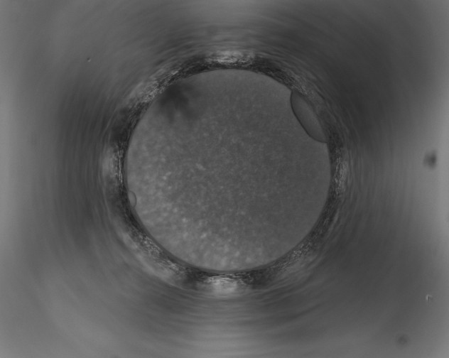 X0000114580272200911301342