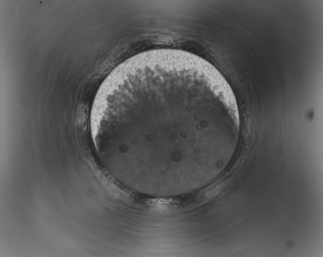 X0000114580273200911301342