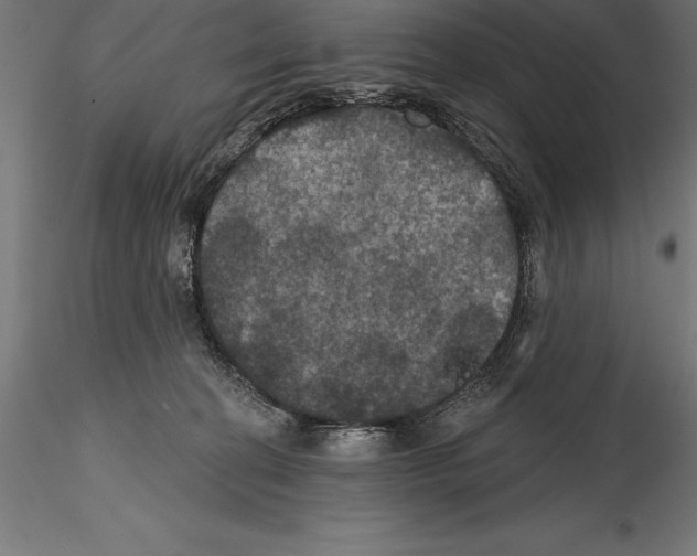 X0000114580274200911301342