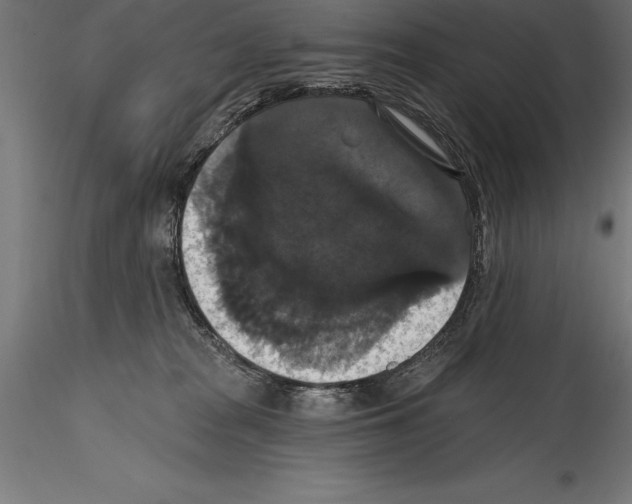 X0000114580277200911301342