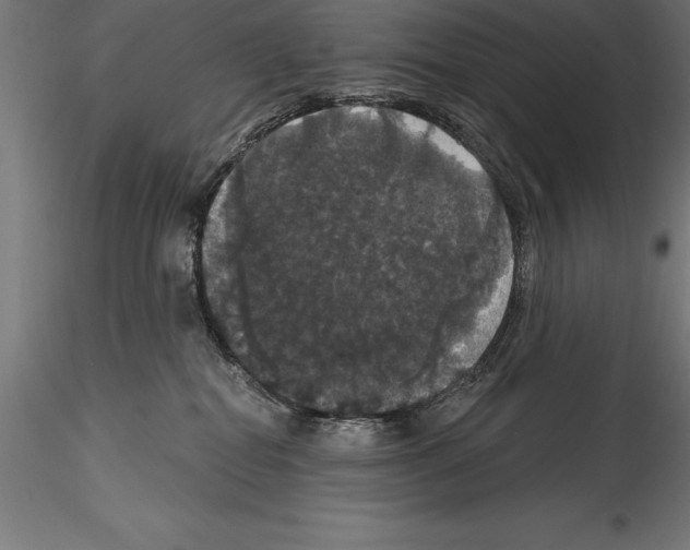 X0000114580282200911301342