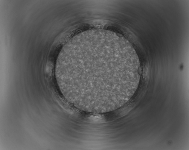 X0000114580283200911301342