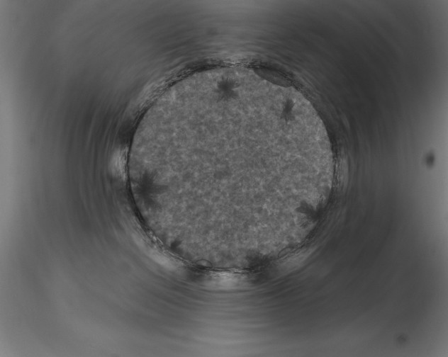 X0000114580286200911301342