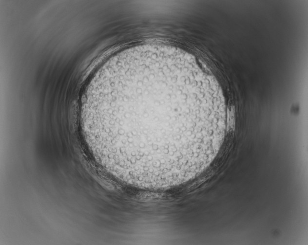 X0000114580291200911301342