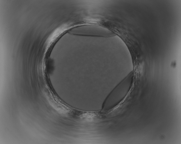 X0000114580294200911301342