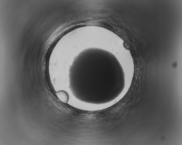 X0000114580295200911301342