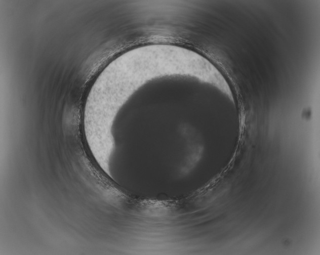 X0000114580297200911301341