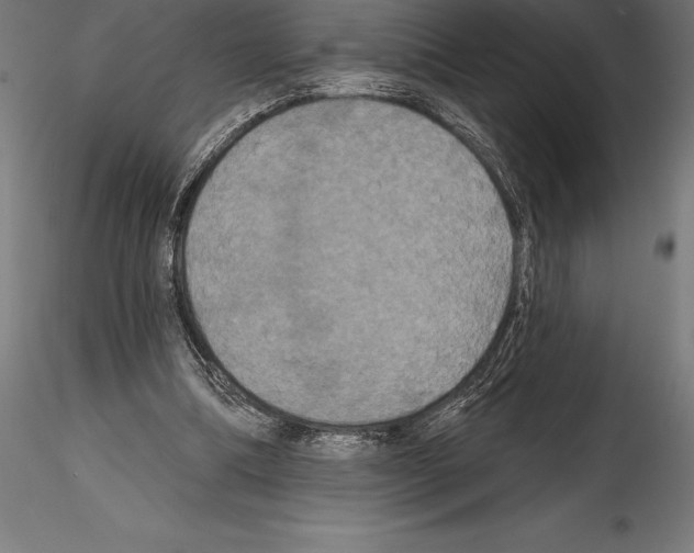 X0000114580298200911301341