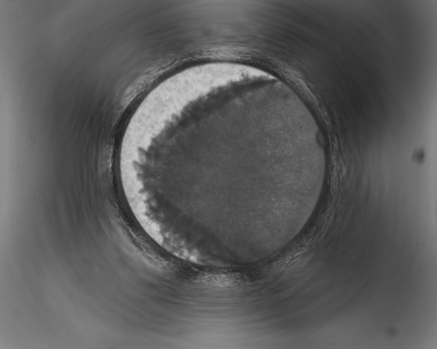 X0000114580299200911301341