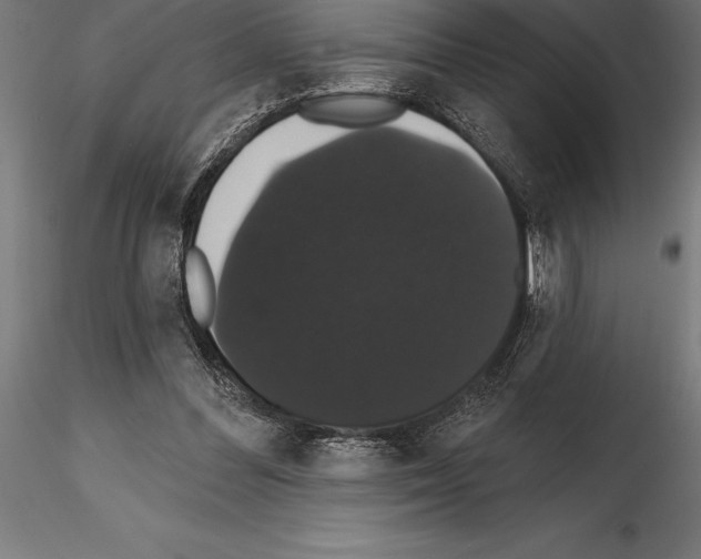 X0000114580300200911301341