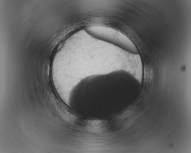 X0000114580301200911301341