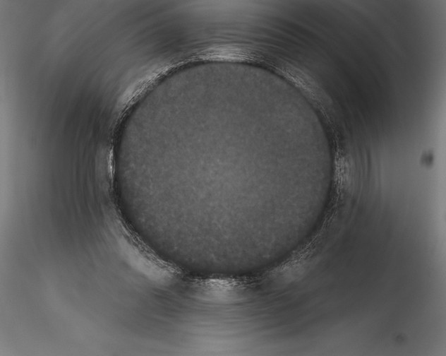 X0000114580302200911301341