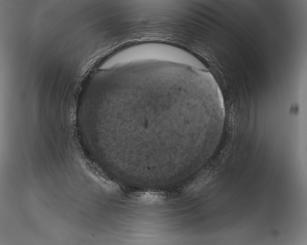 X0000114580303200911301341