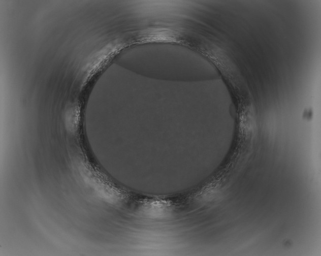 X0000114580304200911301341