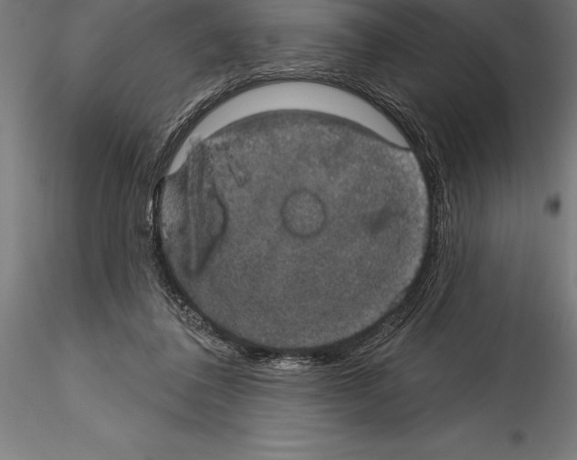 X0000114580308200911301341