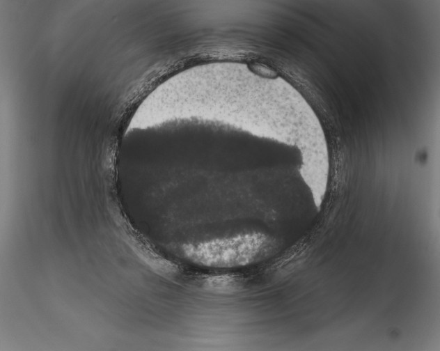 X0000114580309200911301341