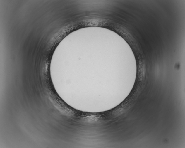 X0000114580310200911301341