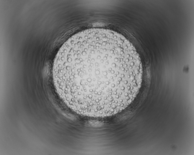 X0000114580311200911301341