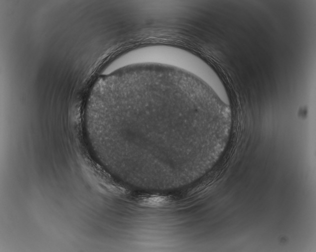 X0000114580312200911301341