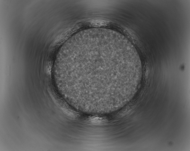 X0000114580315200911301341