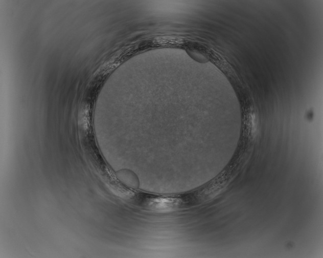 X0000114580323200911301341