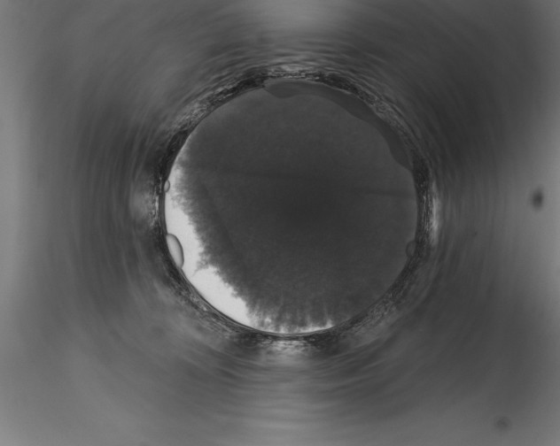 X0000114580324200911301341