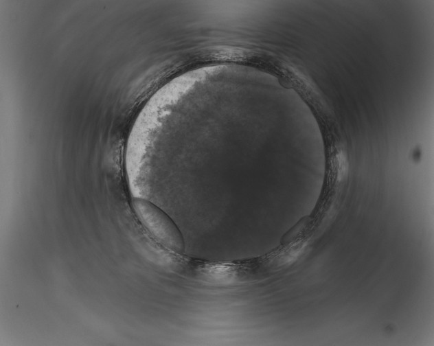 X0000114580325200911301341