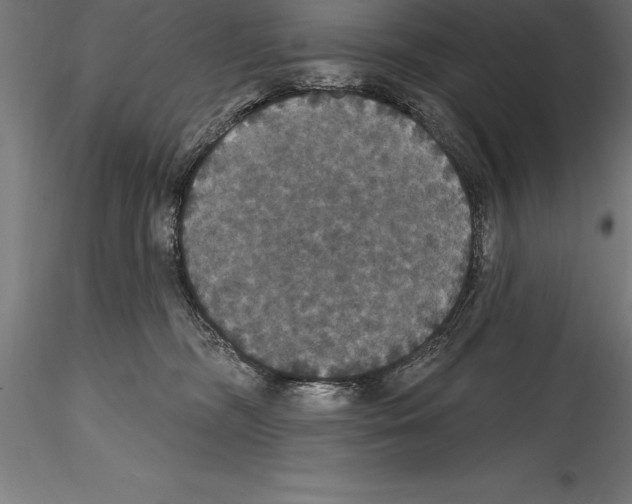 X0000114580326200911301341