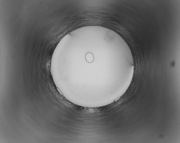 X0000114580329200911301341