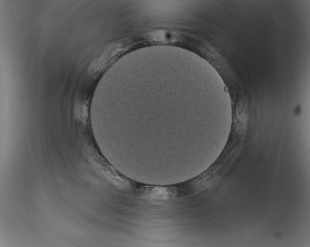 X0000114580330200911301341