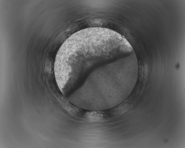 X0000114580331200911301341