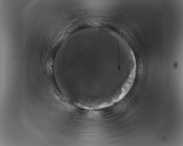 X0000114580332200911301341