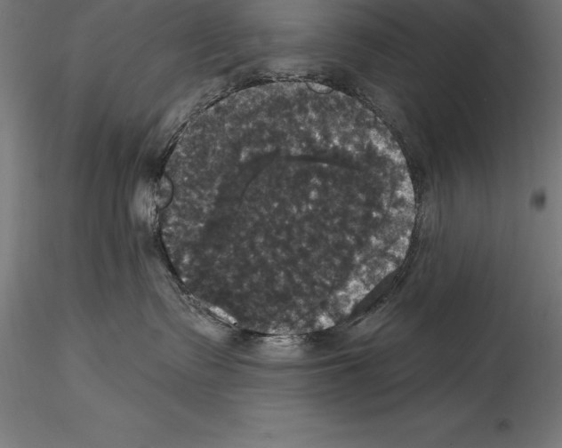 X0000114580335200911301341