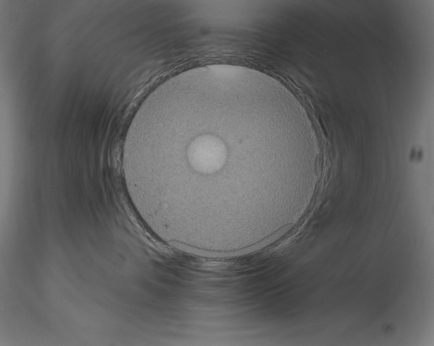 X0000114580336200911301341