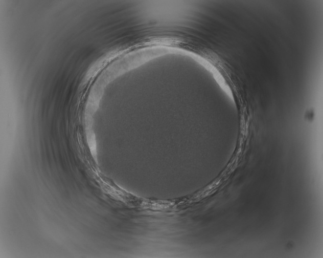 X0000114580337200911301340