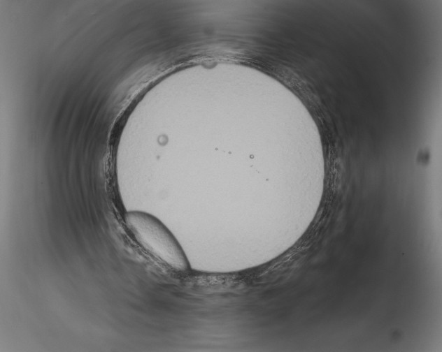 X0000114580338200911301340