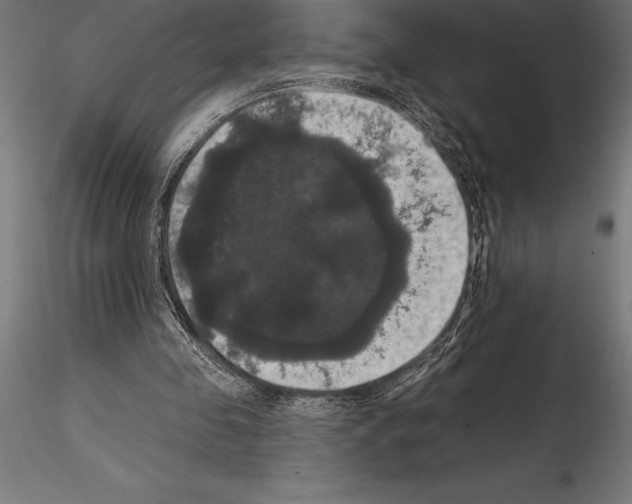 X0000114580341200911301340