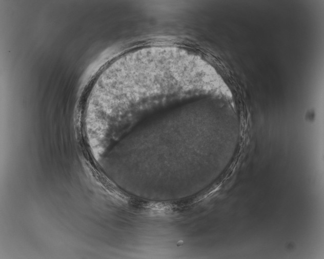 X0000114580343200911301340