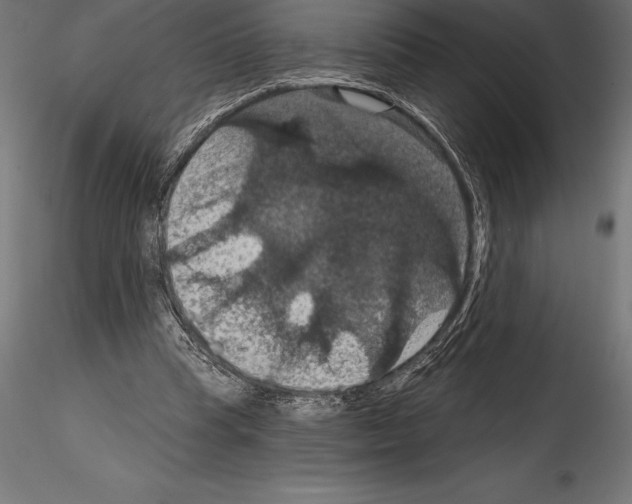 X0000114580345200911301340