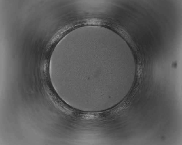 X0000114580347200911301340