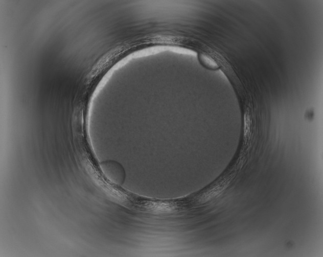 X0000114580349200911301340