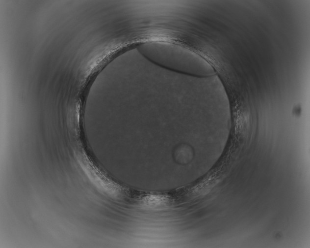 X0000114580350200911301340