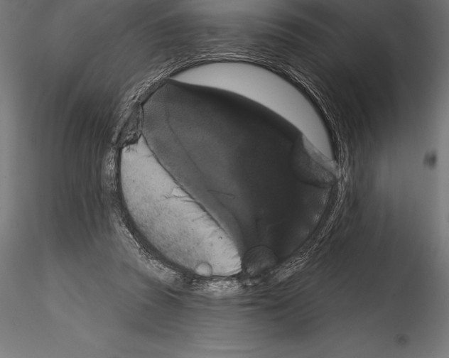 X0000114580353200911301340