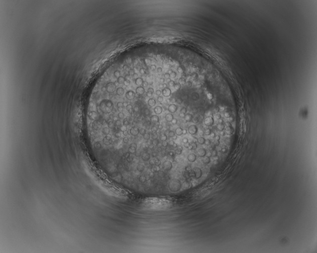 X0000114580354200911301340