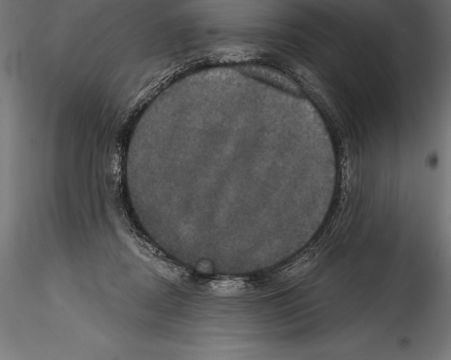 X0000114580362200911301340